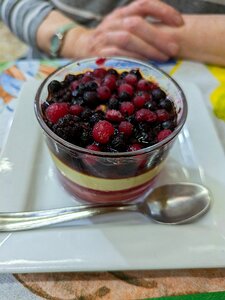 20240614_PXL182520264_DxO-DP7natural_Pixel7a-JEB